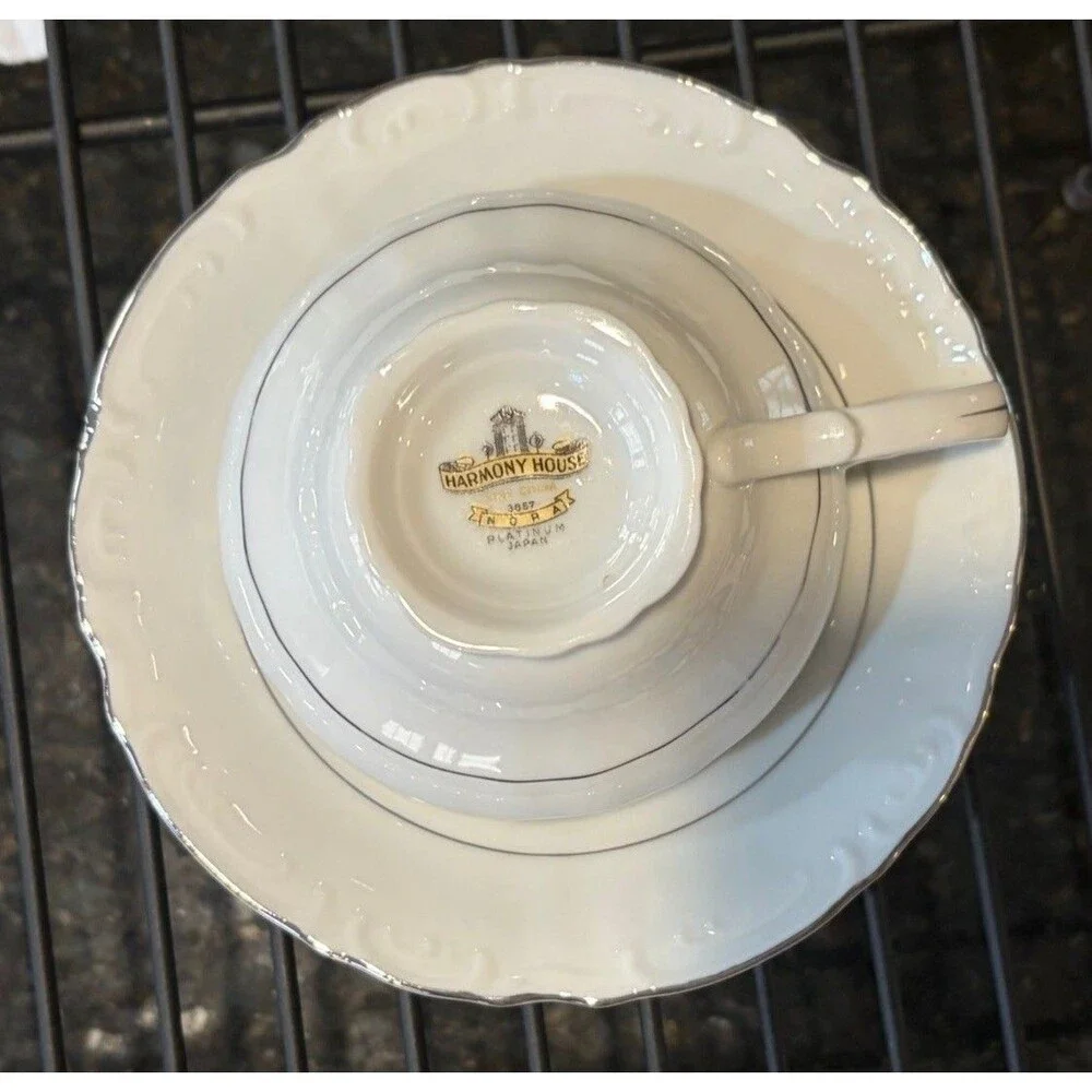 White Footed Cup & Saucer  w Platinum Trim  Japan #3857 Harmony House NORA